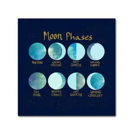 Trademark Fine Art Lisa Powell Braun 'Moon Phases' Canvas Art, 18x18 ALI5714-C1818GG